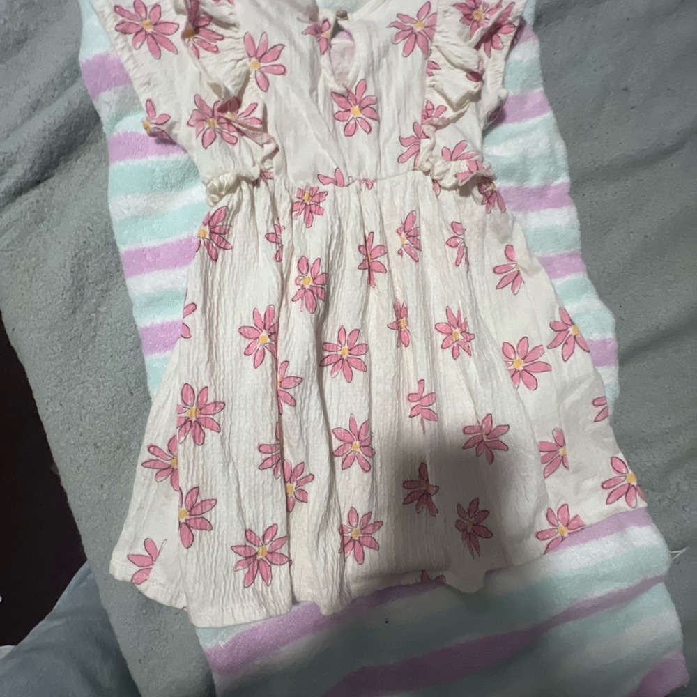 Zara Floral Pink and Cream Dress